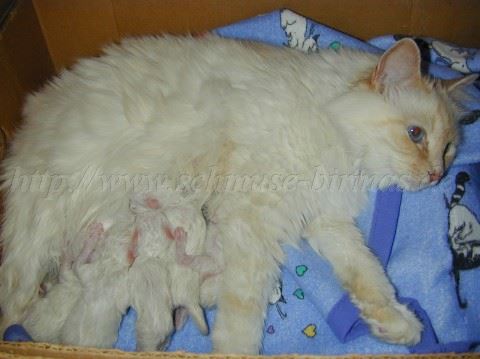 S-Babys-heutegeborenMai 2003 Mittlere Webansicht02