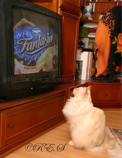 TV Gro�e Webansicht