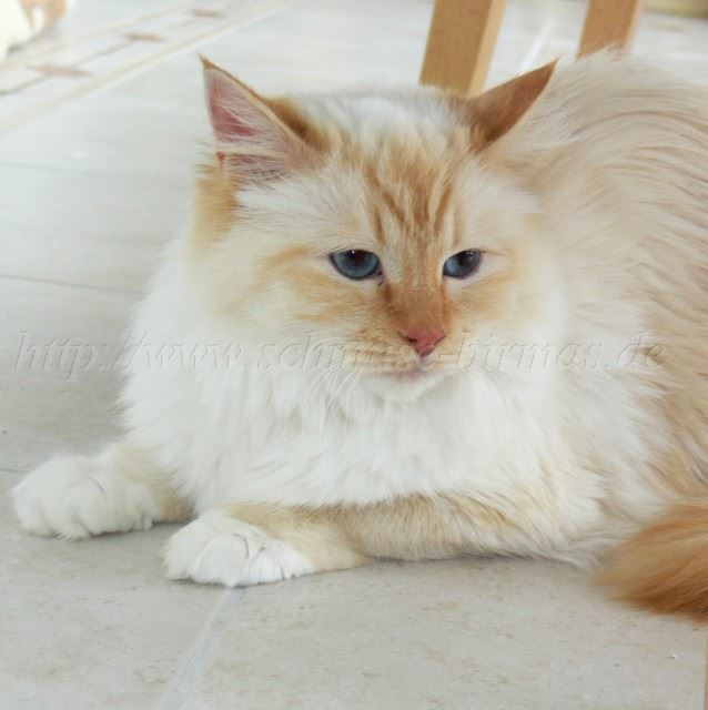 Usa-02-06_5 Gro�e Webansicht02