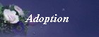 Adoption