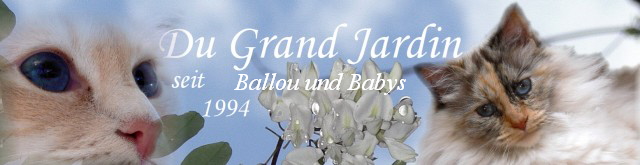 Ballou und Babys