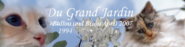Ballou und Bisou April 2007