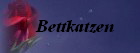 Bettkatzen