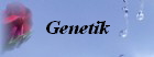 Genetik