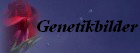 Genetikbilder