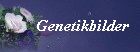 Genetikbilder
