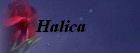Halica