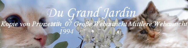 Kopie von Prinzessin_07 Groe Webansicht Mittlere Webansicht