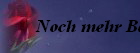 Noch mehr Babys
