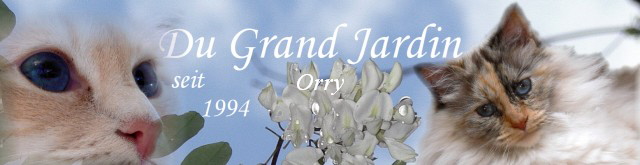 Orry