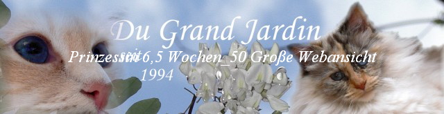 Prinzessin 6,5 Wochen_50 Groe Webansicht