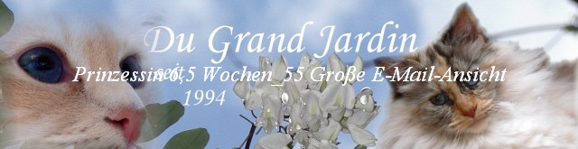 Prinzessin 6,5 Wochen_55 Groe E-Mail-Ansicht