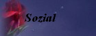 Sozial