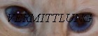 Vermittlung