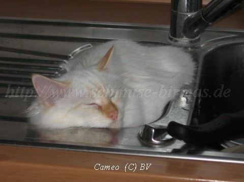 Bild038-3 Mittlere Webansicht