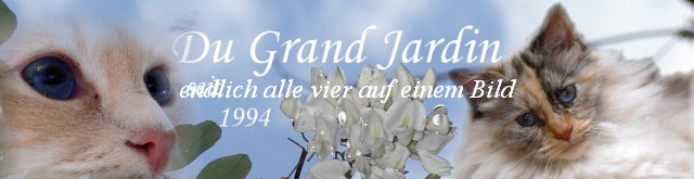 endlich alle vier auf einem Bild