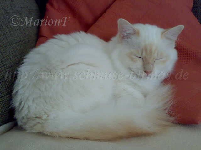 Oktober 2007