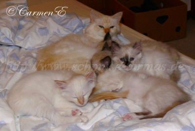 10Wochen 015 Gro�e Webansicht