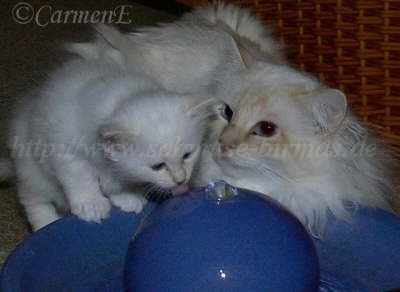 Bisou und seine ochter Eleonora