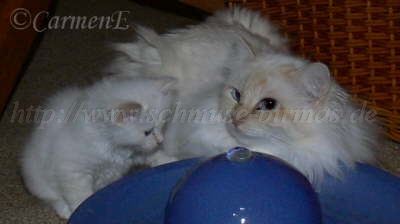 im Oktober 2008