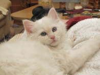 2Monate alt_21 Gro�e Webansicht