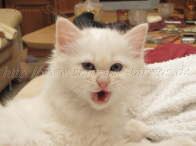 2Monate alt_22 Gro�e Webansicht