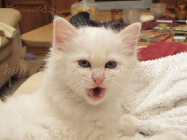 2Monate alt_22 Gro�e Webansicht