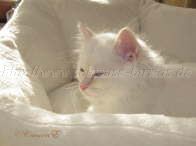 2Monate alt_33 Gro�e Webansicht