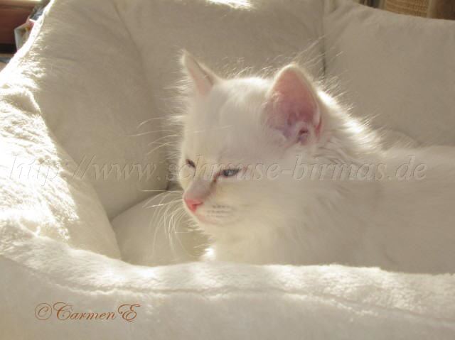 2Monate alt_33 Gro�e Webansicht