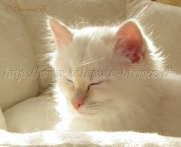 2Monate alt_34 Gro�e Webansicht