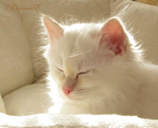 2Monate alt_34 Gro�e Webansicht