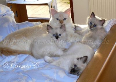 9 Wochen 019 Gro�e Webansicht