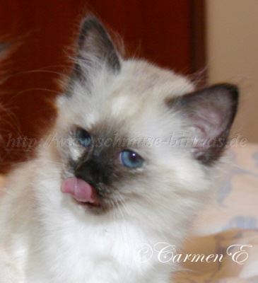 Alisa-10Wo Gro�e Webansicht