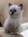 Chantal6Wochen
