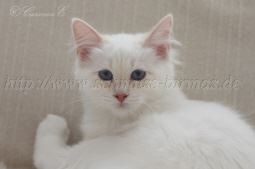 IMG_0178 Groe Webansicht