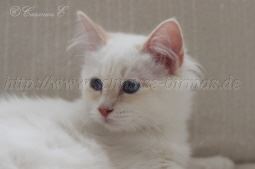 IMG_0201 Groe Webansicht