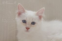 IMG_0223 Groe Webansicht