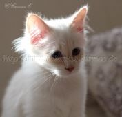 IMG_0668 Groe Webansicht