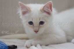 IMG_0764 Groe Webansicht