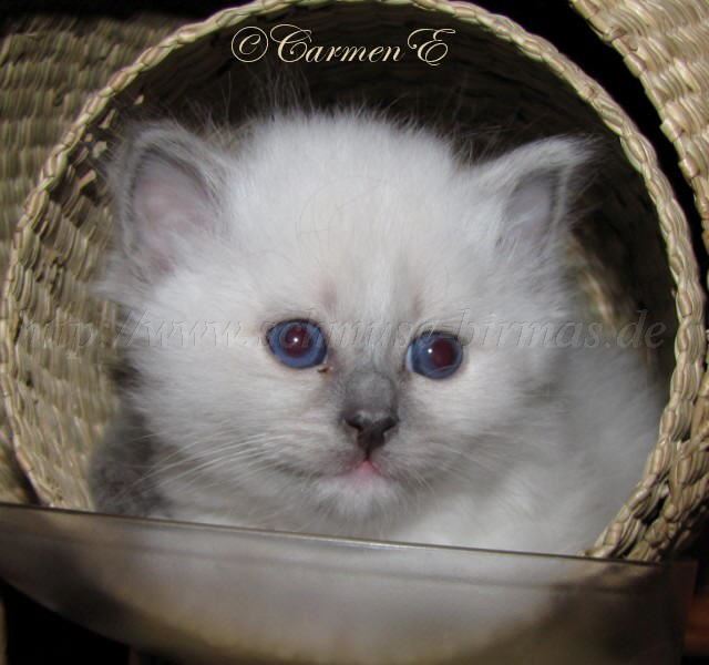 IMG_0769 Gro�e Webansicht