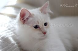 IMG_0817 Groe Webansicht