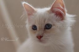 IMG_0863 Groe Webansicht