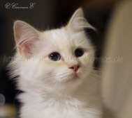 IMG_0907 Groe Webansicht