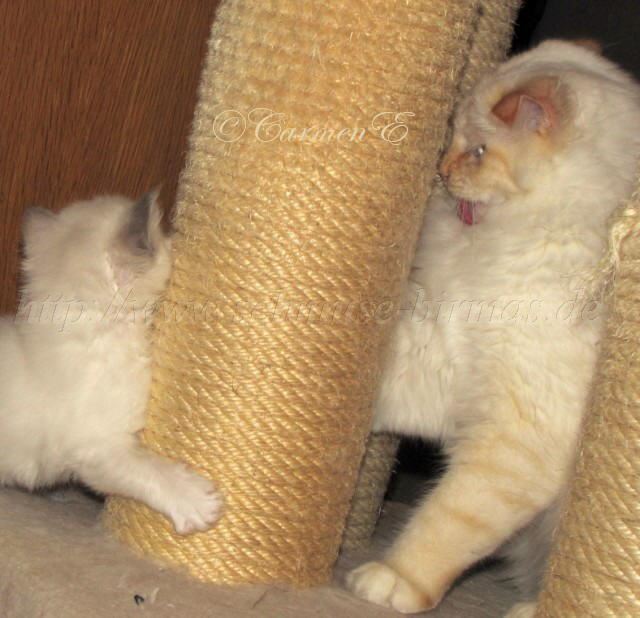 IMG_1251 Groe Webansicht