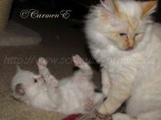 IMG_1256 Groe Webansicht