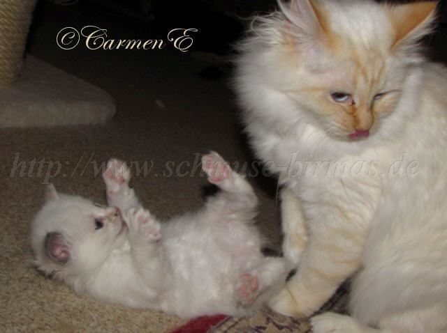 IMG_1256 Groe Webansicht