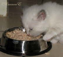 IMG_1295 Groe Webansicht