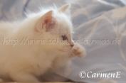 IMG_3626 Groe Webansicht