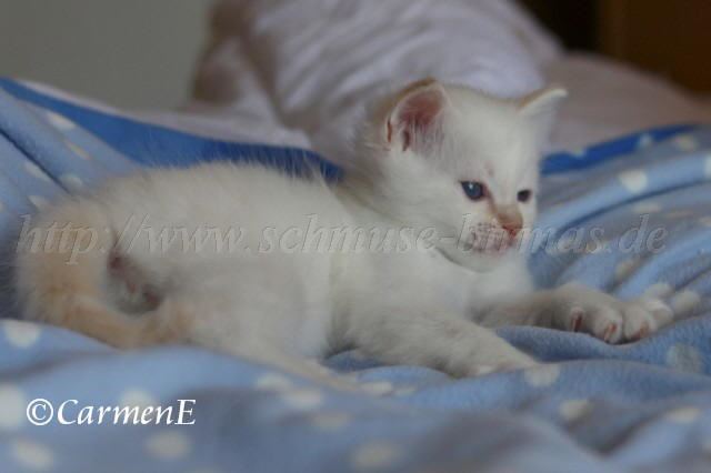 IMG_4059 Gro�e Webansicht