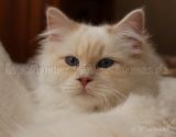 IMG_4336 Groe Webansicht-20131124
